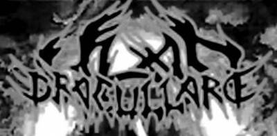 logo Vlad Dracullare